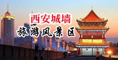欧洲白虎黑丝中国陕西-西安城墙旅游风景区