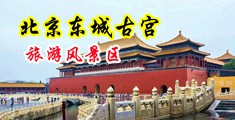 鸡巴插鸡巴120分钟无遮挡中国北京-东城古宫旅游风景区